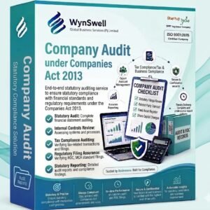 Company Audit